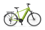 AEB 890 Citybike – Bild 12