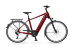 AEB 890 Citybike – Bild 13