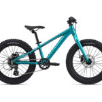 Giant LIV STP 20