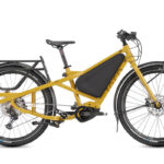 tern Orox S12 (29“)