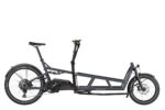 Riese & Müller LOAD 4 75 Rohloff