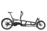 Riese & Müller LOAD 75 touring