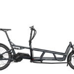 Riese & Müller LOAD 75 touring