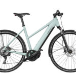 Riese & Müller ROADSTER MIXTE touring